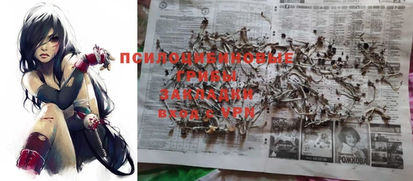Альфа ПВП Баксан